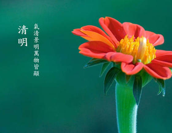 ̤���ʱ�������������������ڷż�֪ͨ����